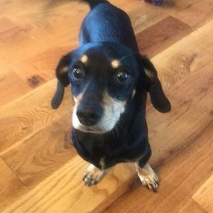 Meet your Posher, Bobby